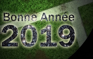 voeux 2019