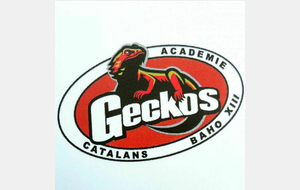 Tournoi Académie des Geckos U7 U9 U11