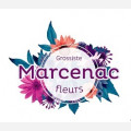 MARCENAC FLEURS