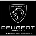 PEUGEOT MATHIEU CALLE