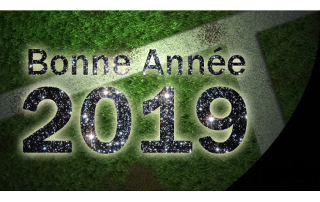 voeux 2019