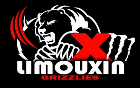 13 Limouxin