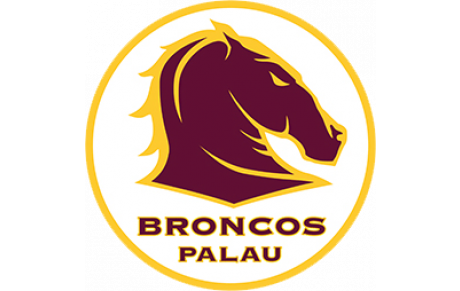Palau XIII