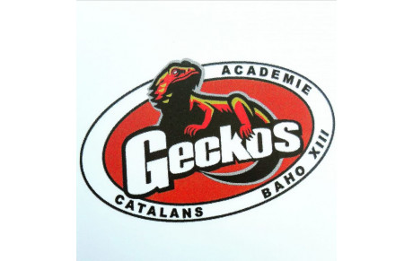 Acadmie des geckos de baho