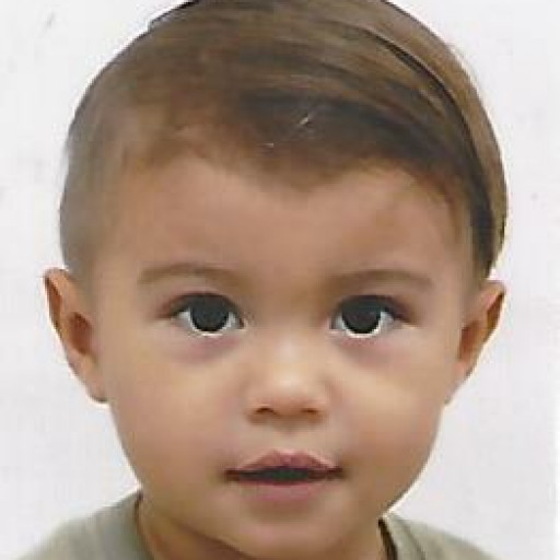Oscar Pala